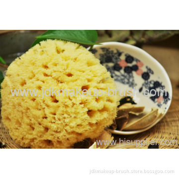 Natural Sponges 